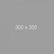 300x300